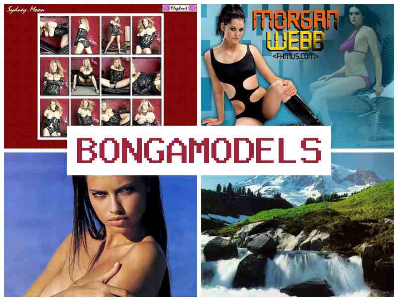 BONGA MODELZ ☑️ Ganancia a través de la red en videochat como modelo web de forma remota BONGA MODELZ ☑️ Ganancia a través de la red en videochat como modelo web de forma remota