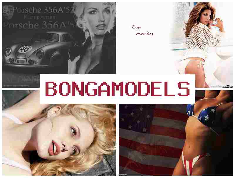 BONGO MODEL 💴 Ingreso adicional online por webcam como modelo webcam en casa
