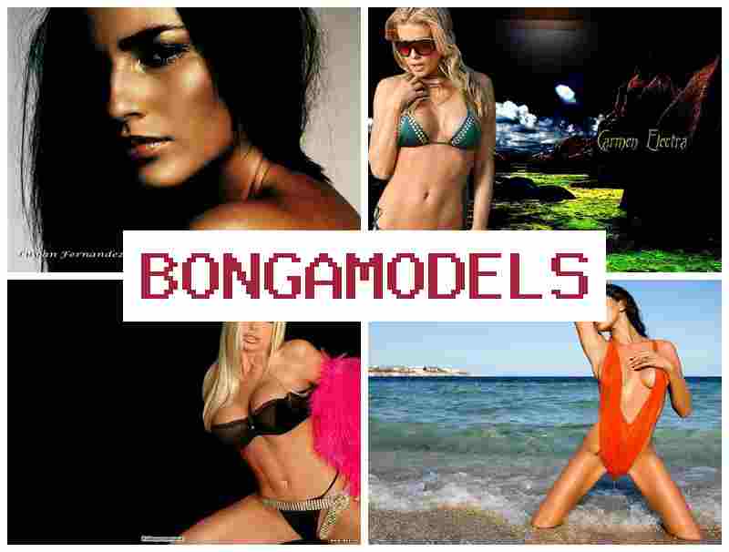 ONGAMODELS 💴 Empleo en línea como modelo de videochat de forma remota